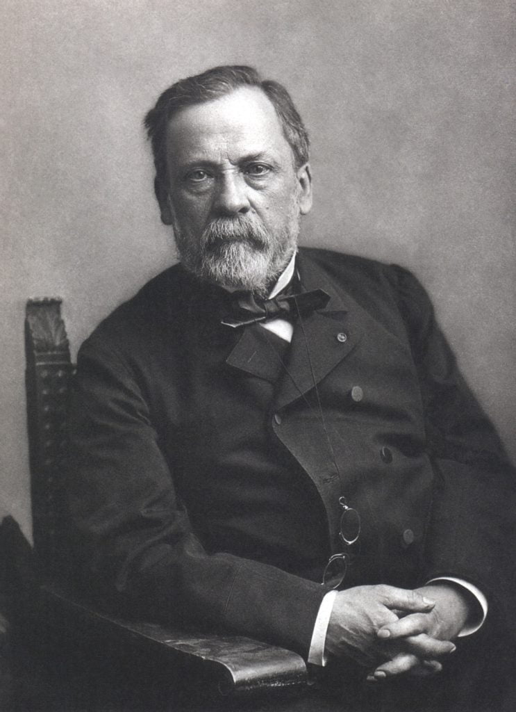 Pasteurised Milk 2 Louis Pasteur