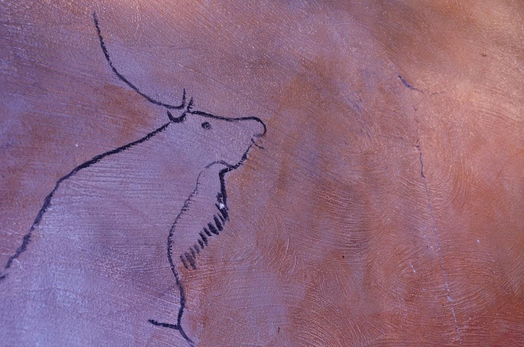 The Saga of Bovine Domestication 4 Cave painting of a bovine