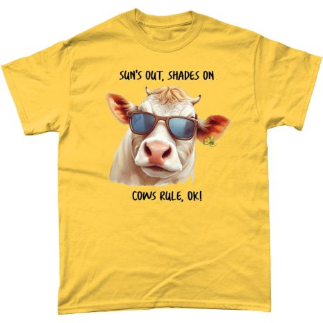 Sun's Out, Shades On, Cows Rule OK! Sun's Out, Shades On, Cows Rule OK! Daisy